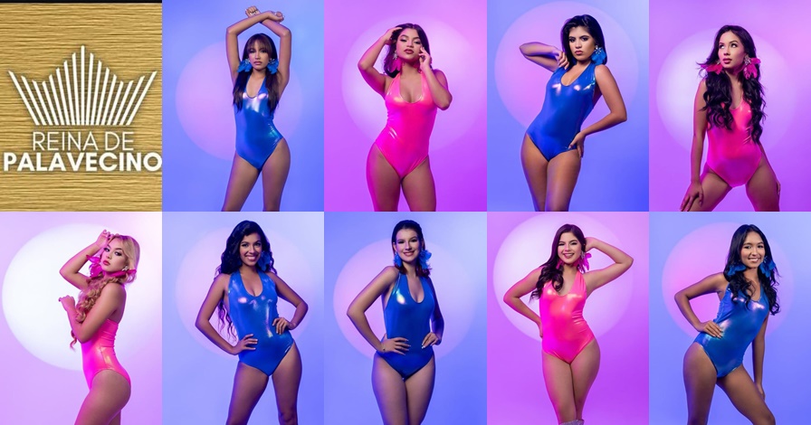 Gala de Presentación de las Candidatas al Reinado de Palavecino 2025: Una Noche de Elegancia y Talento 2 cats 1