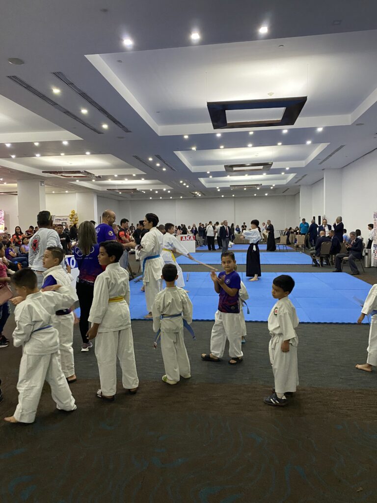 Barquisimeto vibró con la Copa Lidotel y el Shukuga Tai Kai 2025: El Dojo Yamabushi celebró 24 años de legado marcial 3 IMG 9715