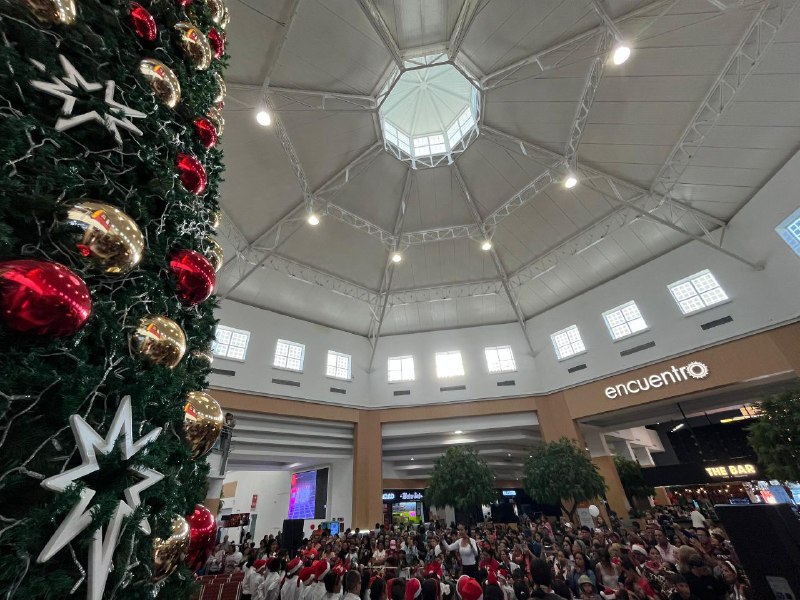 4958843737182243646 1