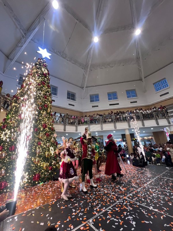 4958843737182243648 1