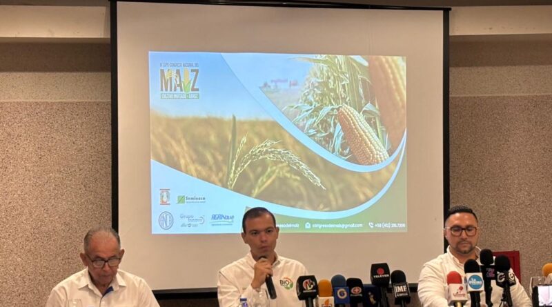 WhatsApp Image 2026 02 02 at 9.37.25 AM 1